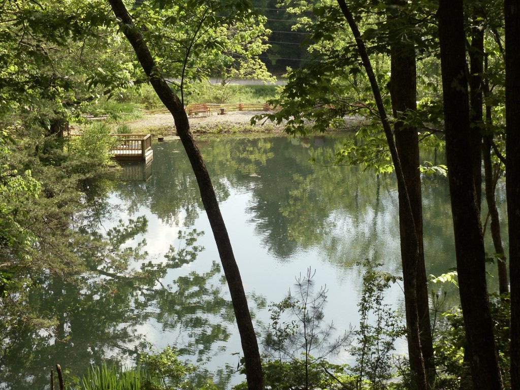 fishing in our big spring pond