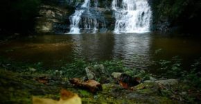 Waterfall