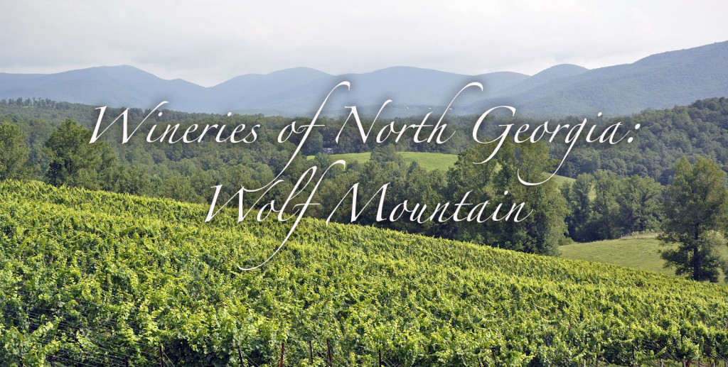 Wineries of North Georgia - Wolf Mountain