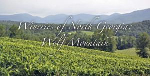 Georgia wine country 12