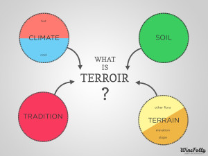 terroir chart